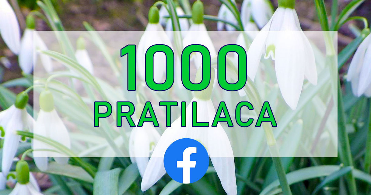 cerebralna-paraliza-srbija-savez-socijalne-mreze-zapratite-01-23