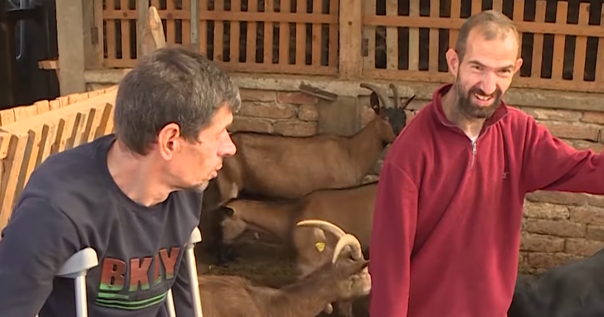 cerebralna-paraliza-srbija-mesto-inkluzija-nacin-zivota-2211-01.